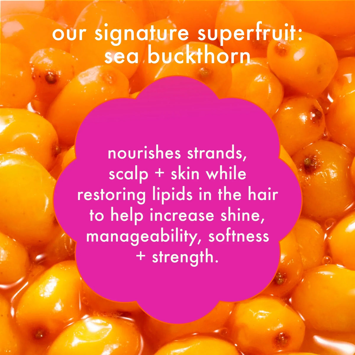 refresh, prep + mist set amika:aura hair + body mist, perk up plus dry shampoo, superfruit star styling oil