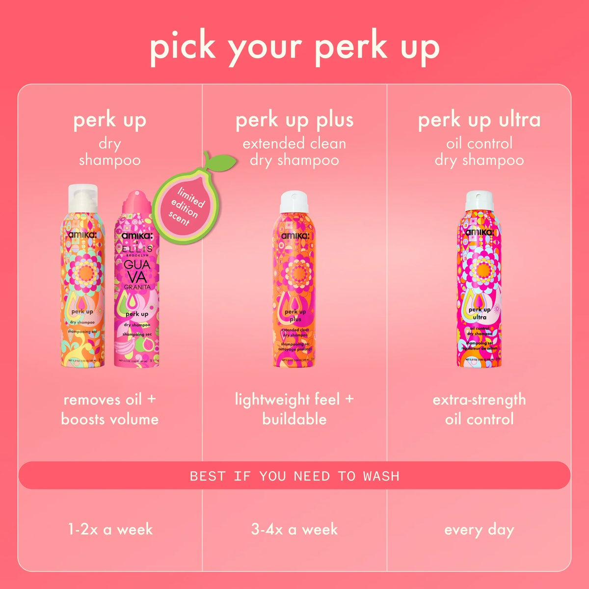 beach day besties dry shampoo duo